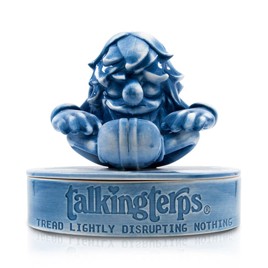 Talking Terps Yeenjoy Chambers Blue